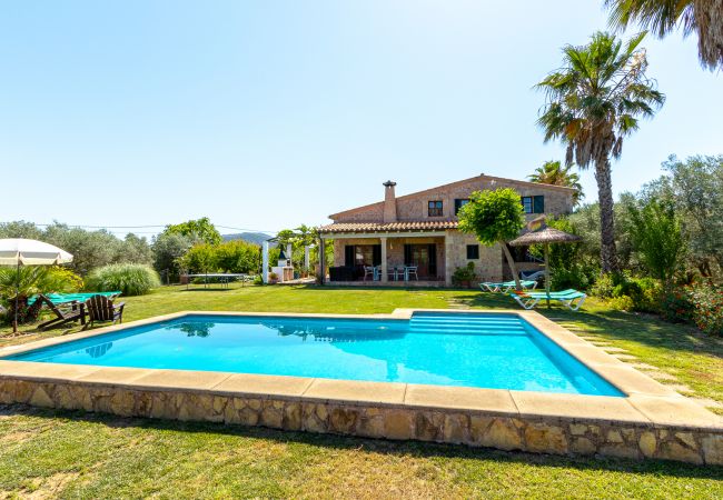 Gran piscina familiar y jardín con palmeras