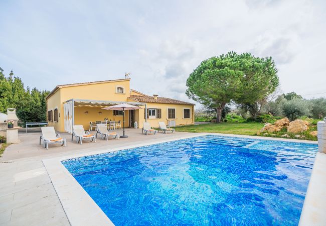 Villa in Alcúdia - Villa Can Paxaco